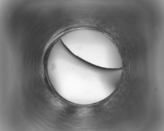 X0000067950198200604131211