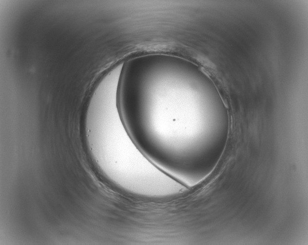 X0000067950201200604131211