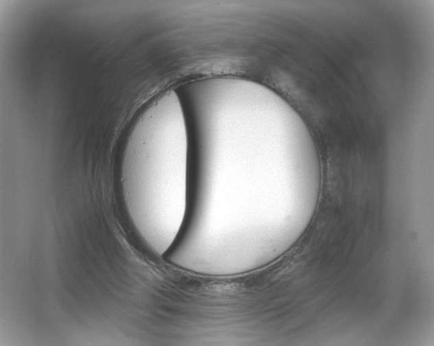 X0000067950202200604131211