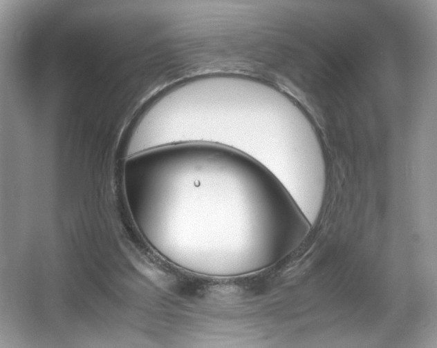 X0000067950203200604131211