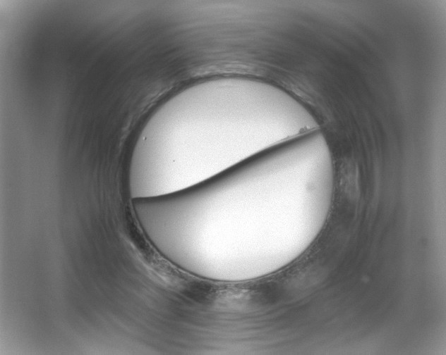X0000067950206200604131211