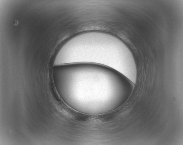 X0000067950207200604131211