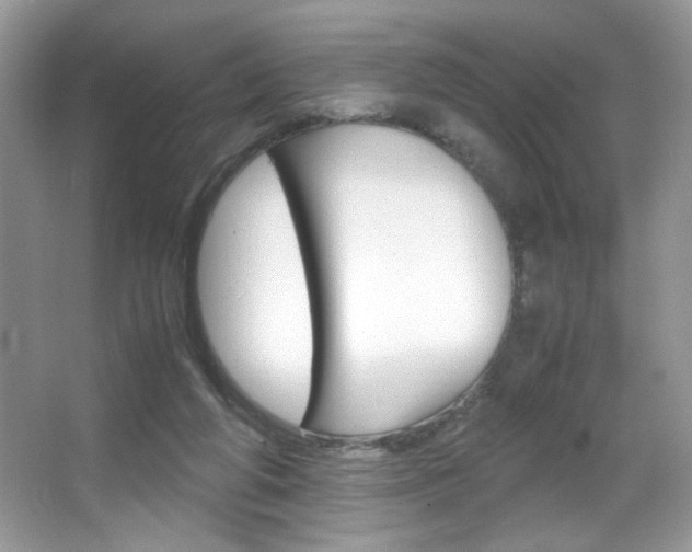 X0000067950210200604131211