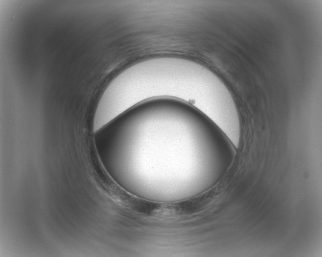 X0000067950211200604131211