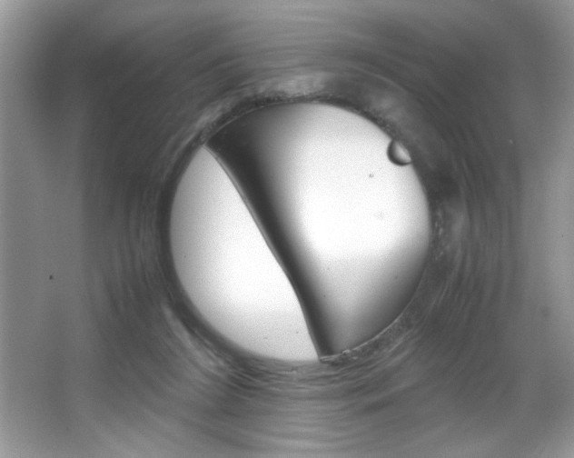 X0000067950212200604131211