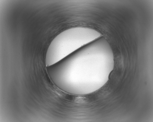 X0000067950222200604131211