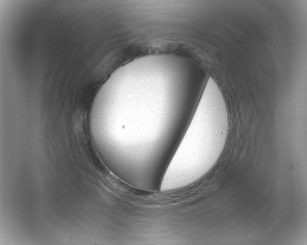 X0000067950225200604131211