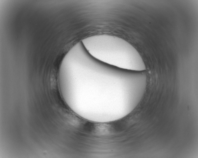 X0000067950226200604131211