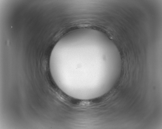 X0000067950227200604131211