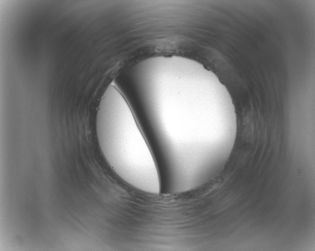 X0000067950228200604131211