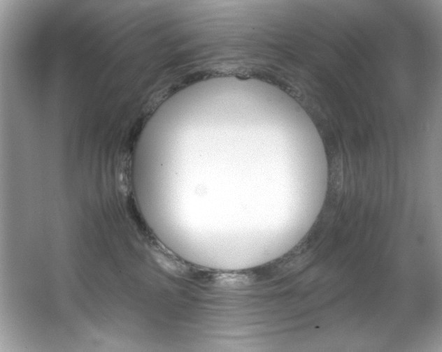 X0000067950234200604131211