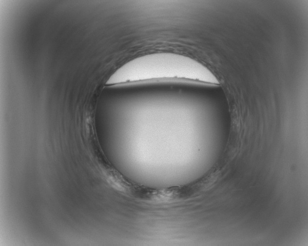 X0000067950235200604131211