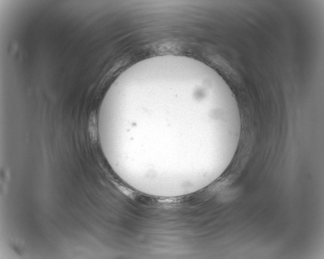 X0000067950240200604131211