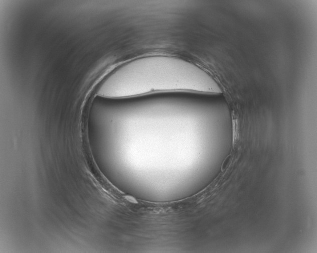 X0000067950243200604131210