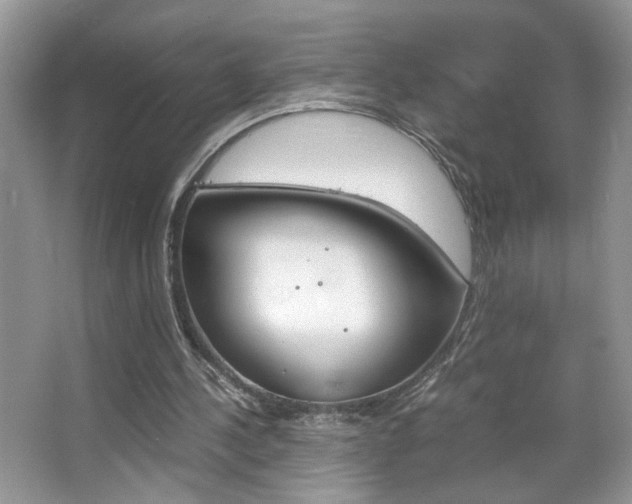 X0000067950244200604131210