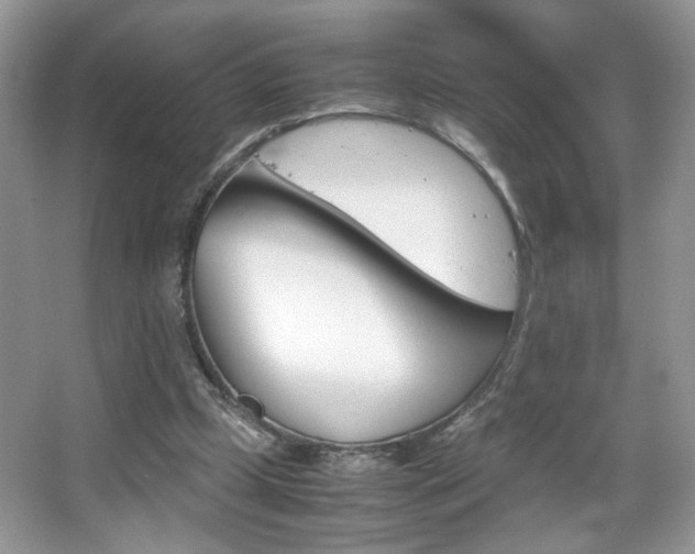 X0000067950249200604131210