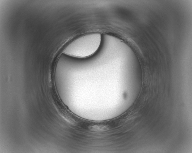 X0000067950251200604131210