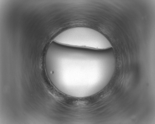 X0000067950255200604131210