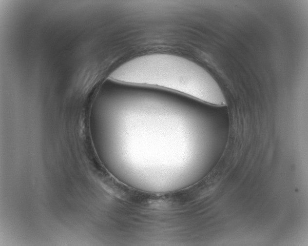X0000067950259200604131210