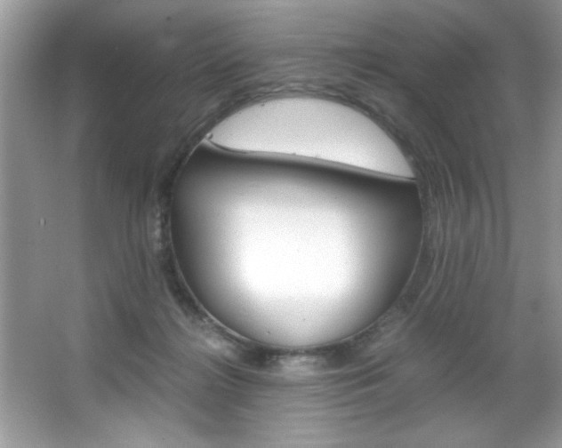X0000067950268200604131210
