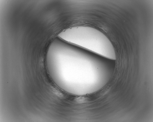 X0000067950269200604131210