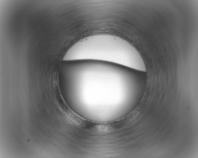X0000067950272200604131210