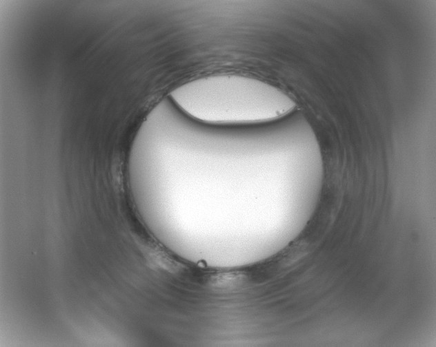 X0000067950274200604131210
