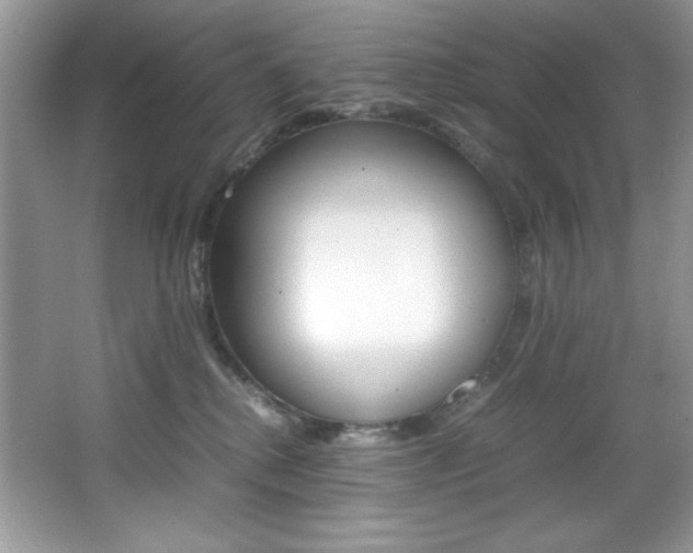X0000067950280200604131211