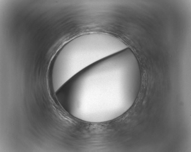 X0000067950290200604131210