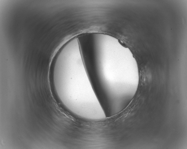 X0000067950292200604131210