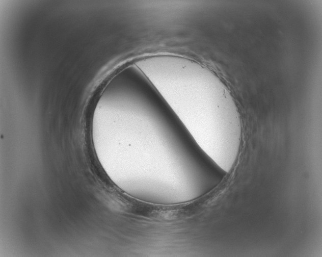 X0000067950295200604131210