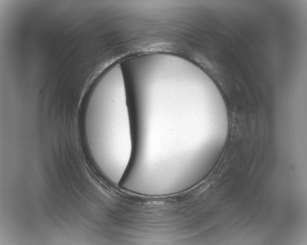X0000067950298200604131210