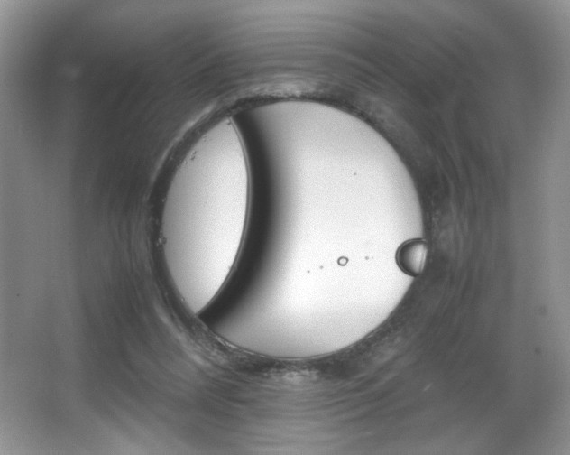 X0000067950304200604131210