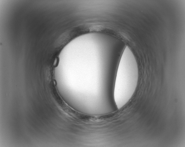 X0000067950311200604131209