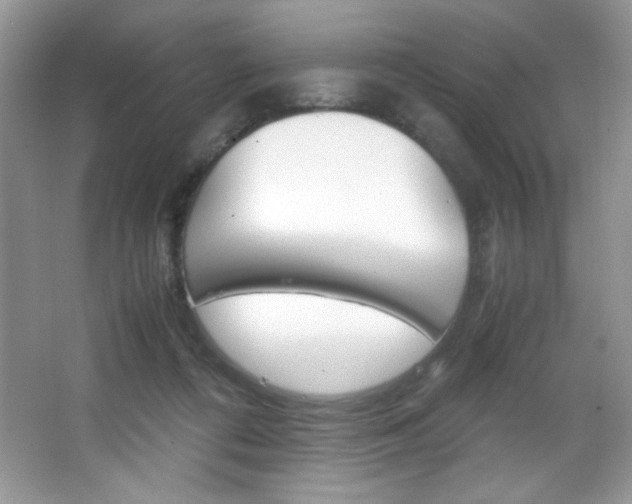 X0000067950312200604131209