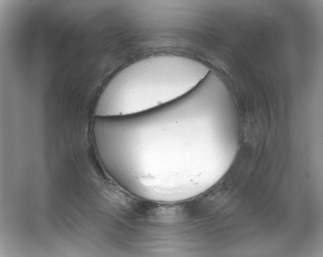 X0000067950314200604131209