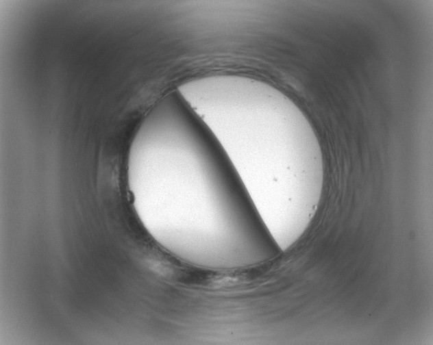 X0000067950315200604131209