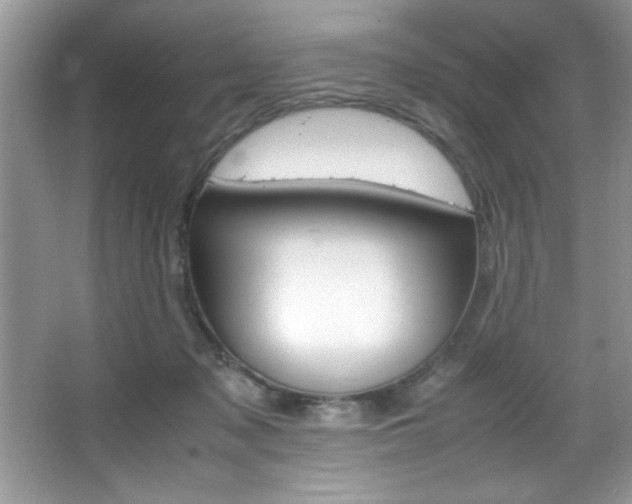 X0000067950317200604131209