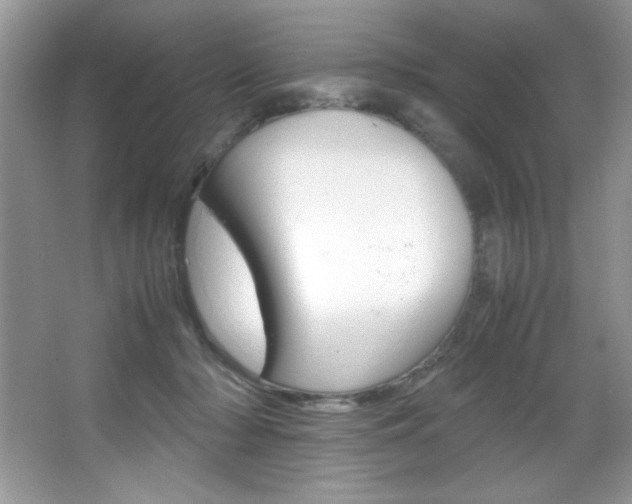 X0000067950318200604131209
