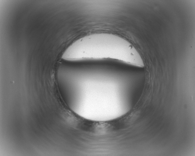 X0000067950321200604131209