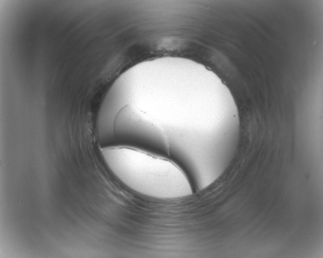X0000067950328200604131209
