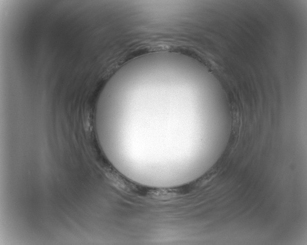 X0000067950331200604131209
