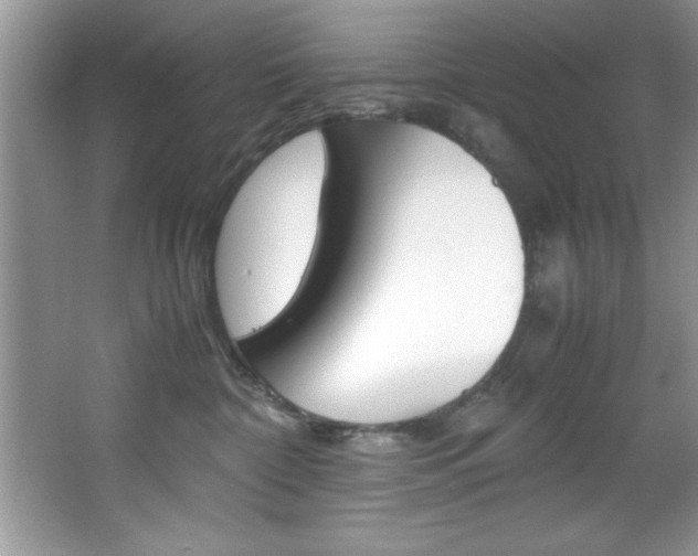X0000067950332200604131209