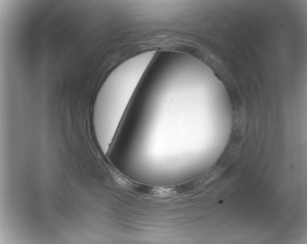 X0000067950333200604131209