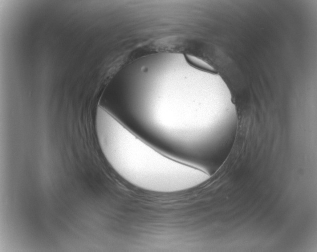 X0000067950335200604131209