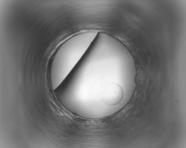 X0000067950338200604131208