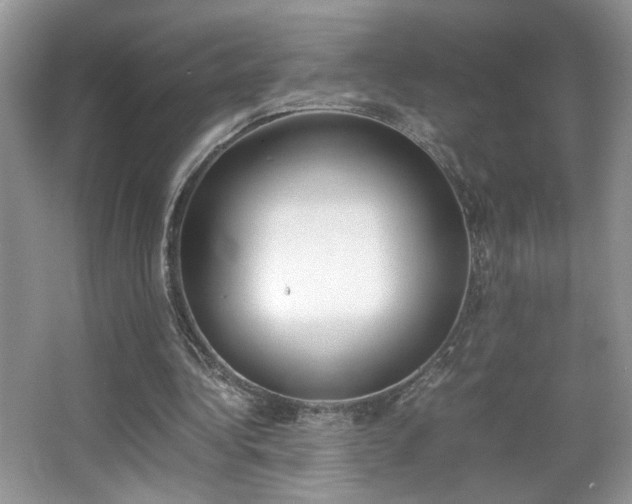 X0000067950340200604131208