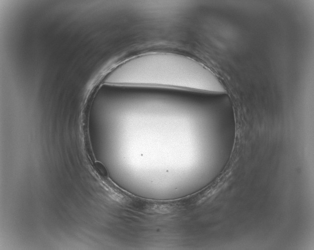 X0000067950341200604131208