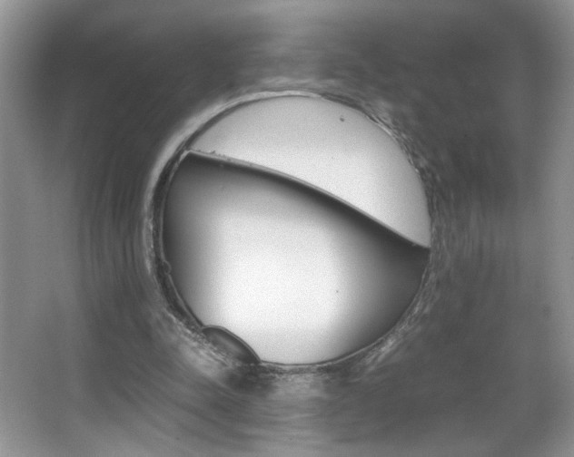 X0000067950342200604131208