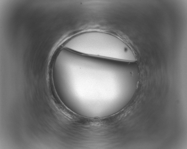 X0000067950344200604131208